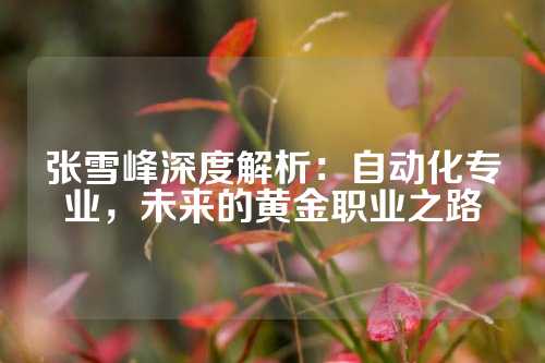 张雪峰深度解析：自动化专业，未来的黄金职业之路