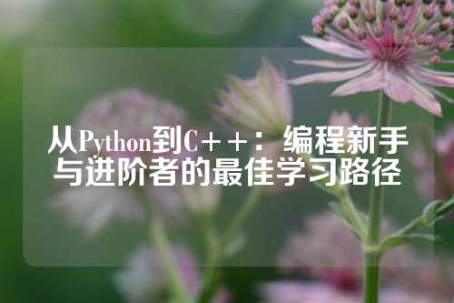 从Python到C++：编程新手与进阶者的最佳学习路径