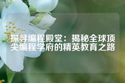 探寻编程殿堂：揭秘全球顶尖编程学府的精英教育之路