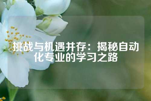 挑战与机遇并存：揭秘自动化专业的学习之路