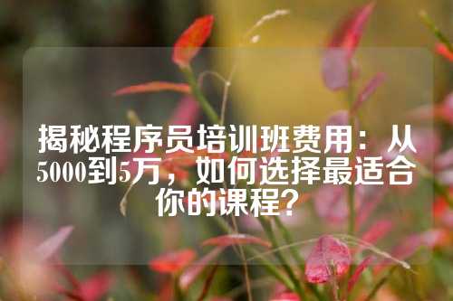 揭秘程序员培训班费用：从5000到5万，如何选择最适合你的课程？