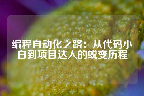 编程自动化之路：从代码小白到项目达人的蜕变历程