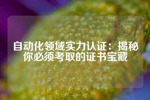 自动化领域实力认证：揭秘你必须考取的证书宝藏