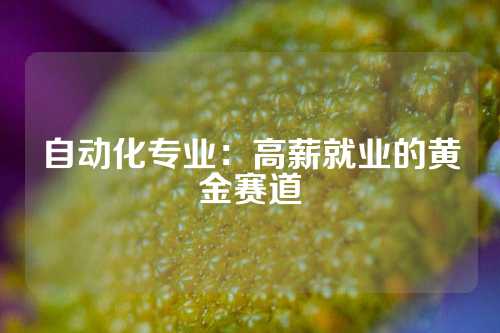 自动化专业：高薪就业的黄金赛道