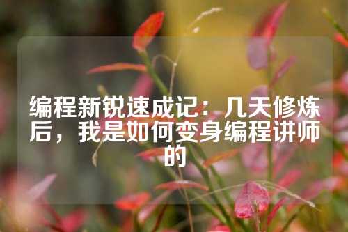 编程新锐速成记：几天修炼后，我是如何变身编程讲师的