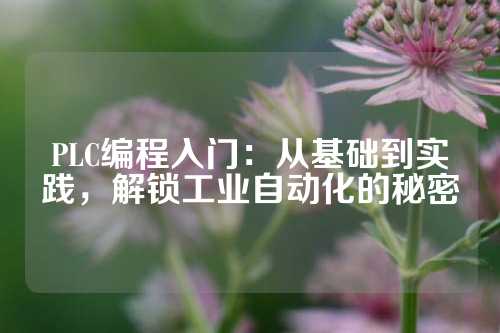 PLC编程入门：从基础到实践，解锁工业自动化的秘密