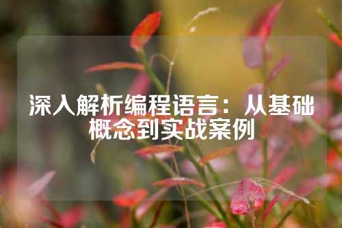 深入解析编程语言：从基础概念到实战案例