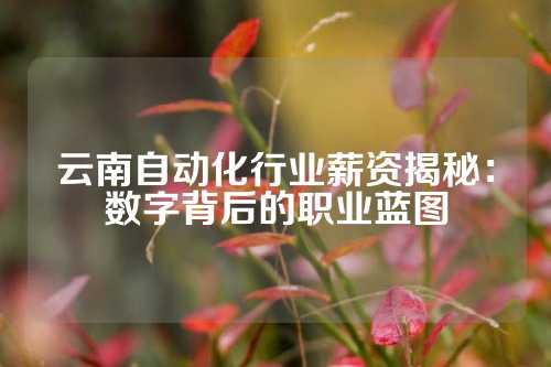 云南自动化行业薪资揭秘：数字背后的职业蓝图