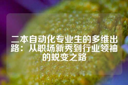 二本自动化专业生的多维出路：从职场新秀到行业领袖的蜕变之路