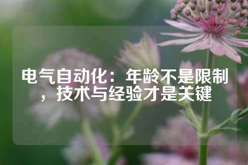 电气自动化：年龄不是限制，技术与经验才是关键