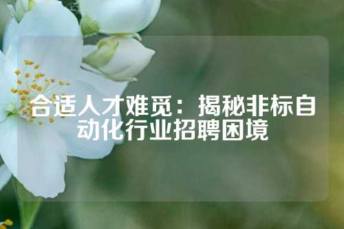 合适人才难觅：揭秘非标自动化行业招聘困境