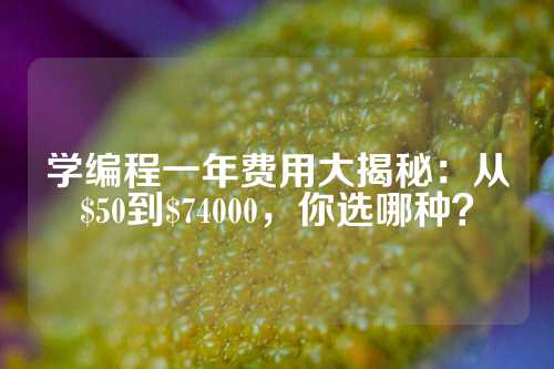 学编程一年费用大揭秘：从$50到$74000，你选哪种？
