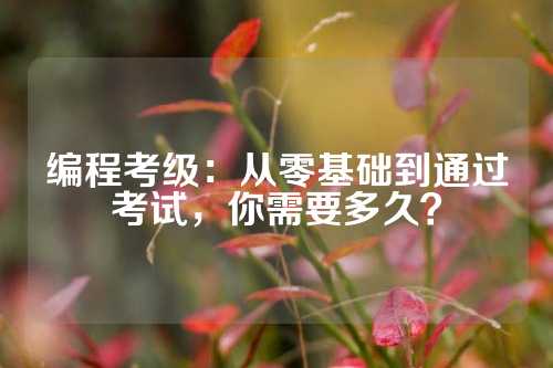 编程考级：从零基础到通过考试，你需要多久？