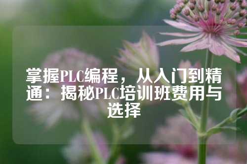 掌握PLC编程，从入门到精通：揭秘PLC培训班费用与选择