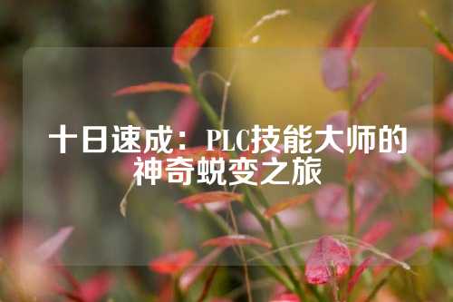 十日速成:PLC技能大师的神奇蜕变之旅
