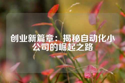 创业新篇章：揭秘自动化小公司的崛起之路