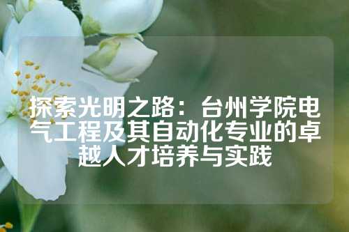 探索光明之路：台州学院电气工程及其自动化专业的卓越人才培养与实践