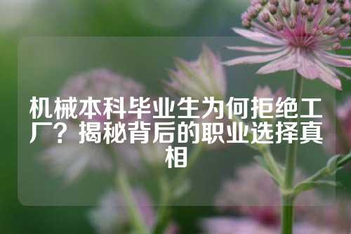 机械本科毕业生为何拒绝工厂？揭秘背后的职业选择真相