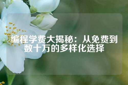 编程学费大揭秘：从免费到数十万的多样化选择