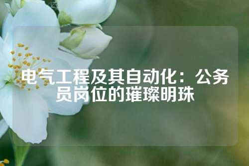 电气工程及其自动化：公务员岗位的璀璨明珠