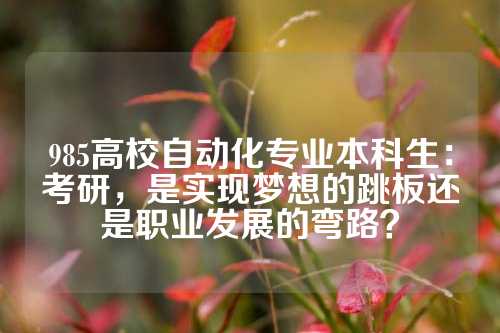 985高校自动化专业本科生:考研,是实现梦想的跳板还是职业发展的弯路?