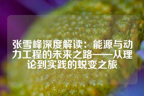 张雪峰深度解读：能源与动力工程的未来之路——从理论到实践的蜕变之旅