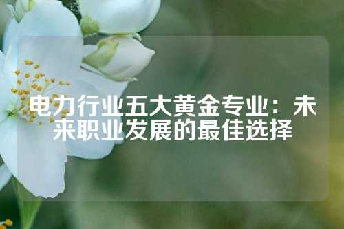 电力行业五大黄金专业：未来职业发展的最佳选择