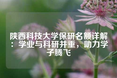 陕西科技大学保研名额详解：学业与科研并重，助力学子腾飞