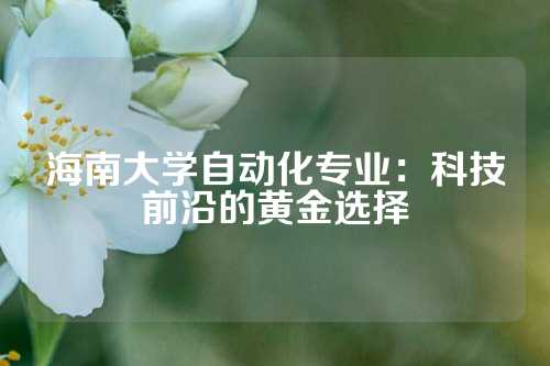 海南大学自动化专业：科技前沿的黄金选择