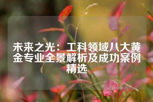 未来之光：工科领域八大黄金专业全景解析及成功案例精选