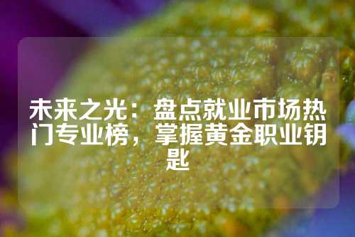 未来之光：盘点就业市场热门专业榜，掌握黄金职业钥匙