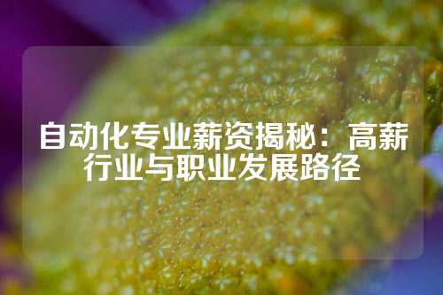 自动化专业薪资揭秘：高薪行业与职业发展路径