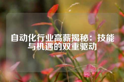 自动化行业高薪揭秘：技能与机遇的双重驱动