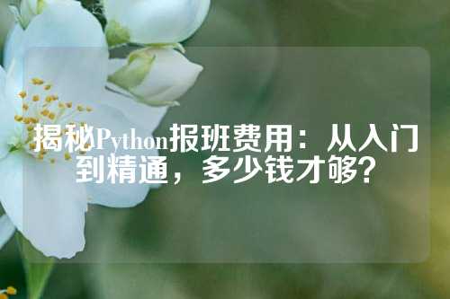 揭秘Python报班费用：从入门到精通，多少钱才够？