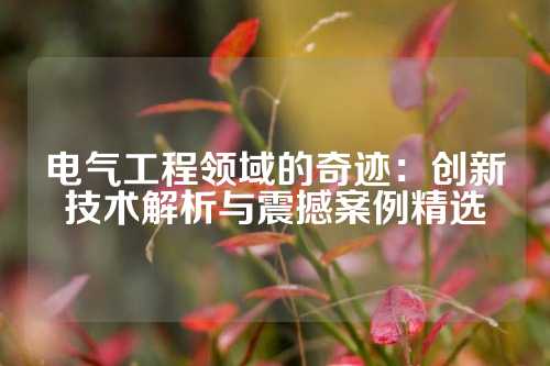 电气工程领域的奇迹：创新技术解析与震撼案例精选