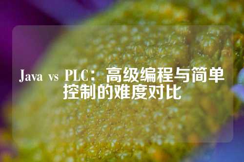 Java vs PLC：高级编程与简单控制的难度对比