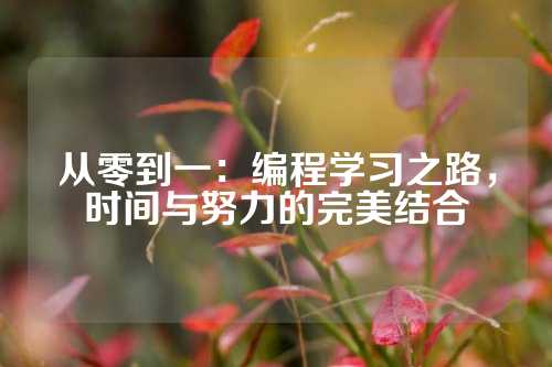 从零到一：编程学习之路，时间与努力的完美结合