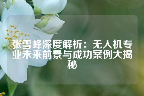 张雪峰深度解析：无人机专业未来前景与成功案例大揭秘