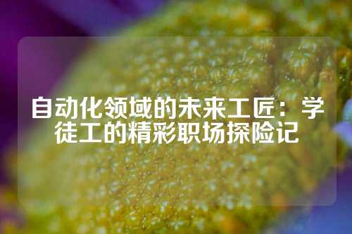 自动化领域的未来工匠：学徒工的精彩职场探险记