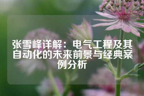 张雪峰详解：电气工程及其自动化的未来前景与经典案例分析