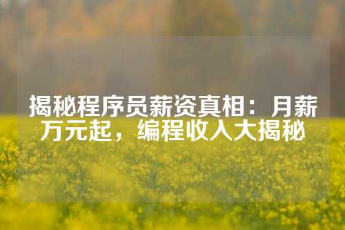 揭秘程序员薪资真相：月薪万元起，编程收入大揭秘