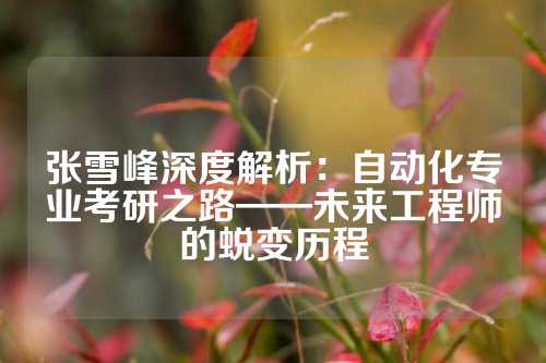张雪峰深度解析：自动化专业考研之路——未来工程师的蜕变历程
