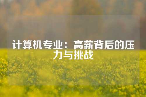 计算机专业：高薪背后的压力与挑战