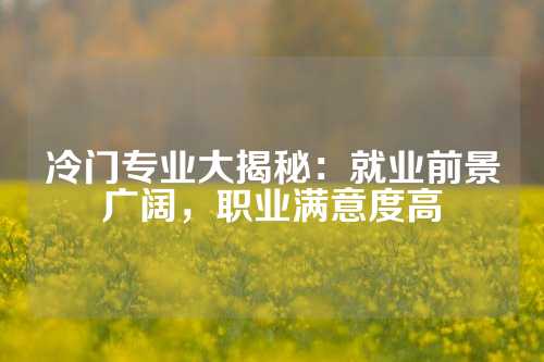 冷门专业大揭秘：就业前景广阔，职业满意度高