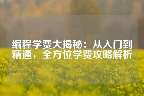 编程学费大揭秘：从入门到精通，全方位学费攻略解析