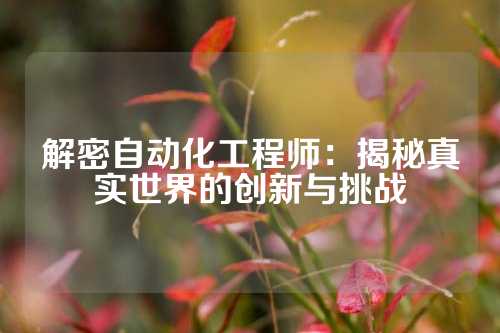 解密自动化工程师：揭秘真实世界的创新与挑战