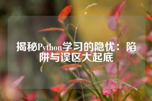 揭秘Python学习的隐忧：陷阱与误区大起底