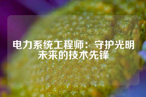 电力系统工程师：守护光明未来的技术先锋