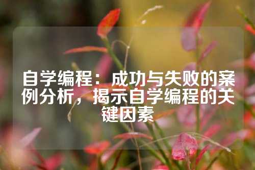 自学编程：成功与失败的案例分析，揭示自学编程的关键因素