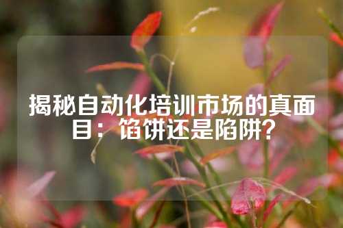 揭秘自动化培训市场的真面目：馅饼还是陷阱？